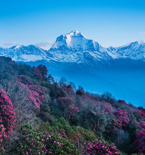 Dhaulagiri Region Trek