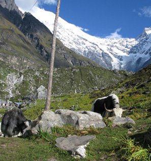 Langtang Region Trek