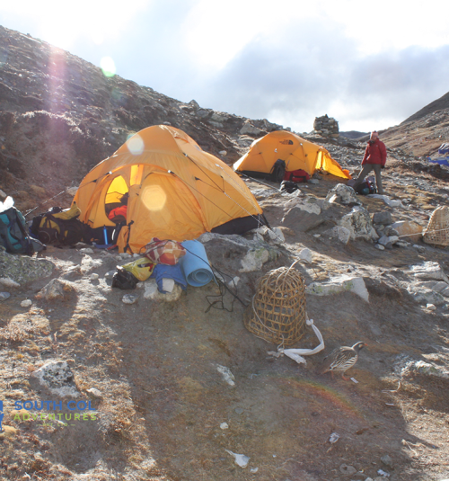 Island Peak Base Camp