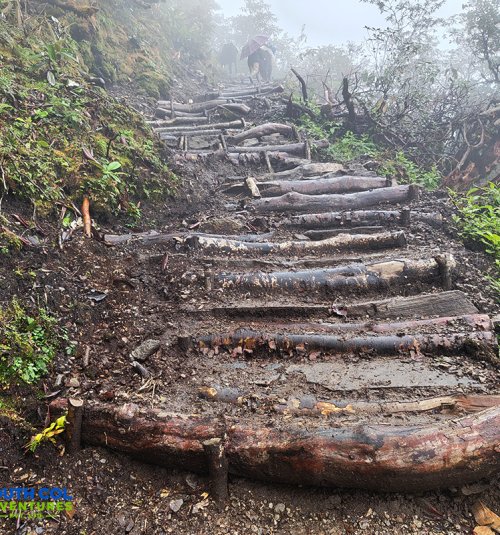 Logged Staircase While Following The Route Towards Khole Kharka