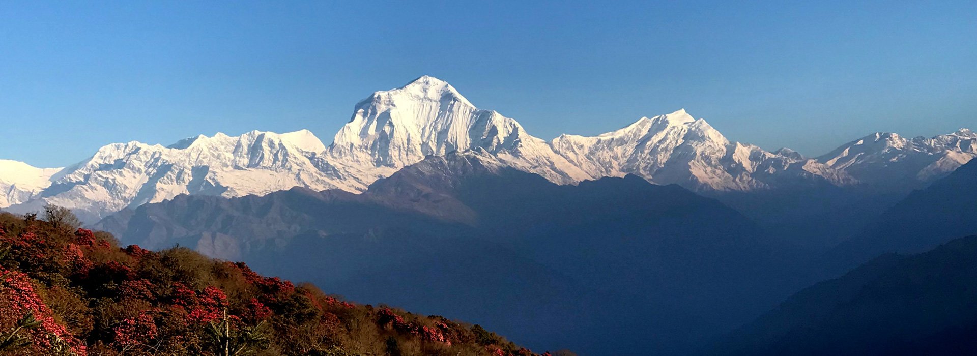 Dhaulagiri Region Trek