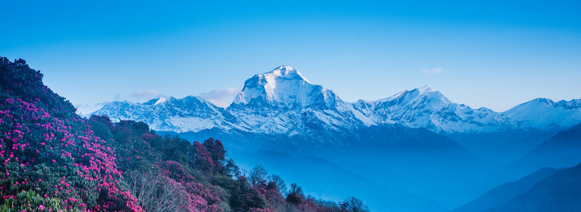 Ghorepani Poon Hill Trek