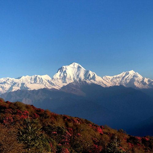 Dhaulagiri Region Trek