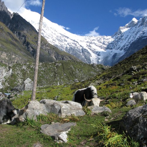 Tamang Heritage